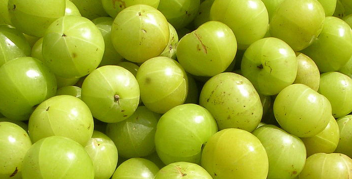 Important health benefits and uses of Amla popularly known as Indian gooseberry